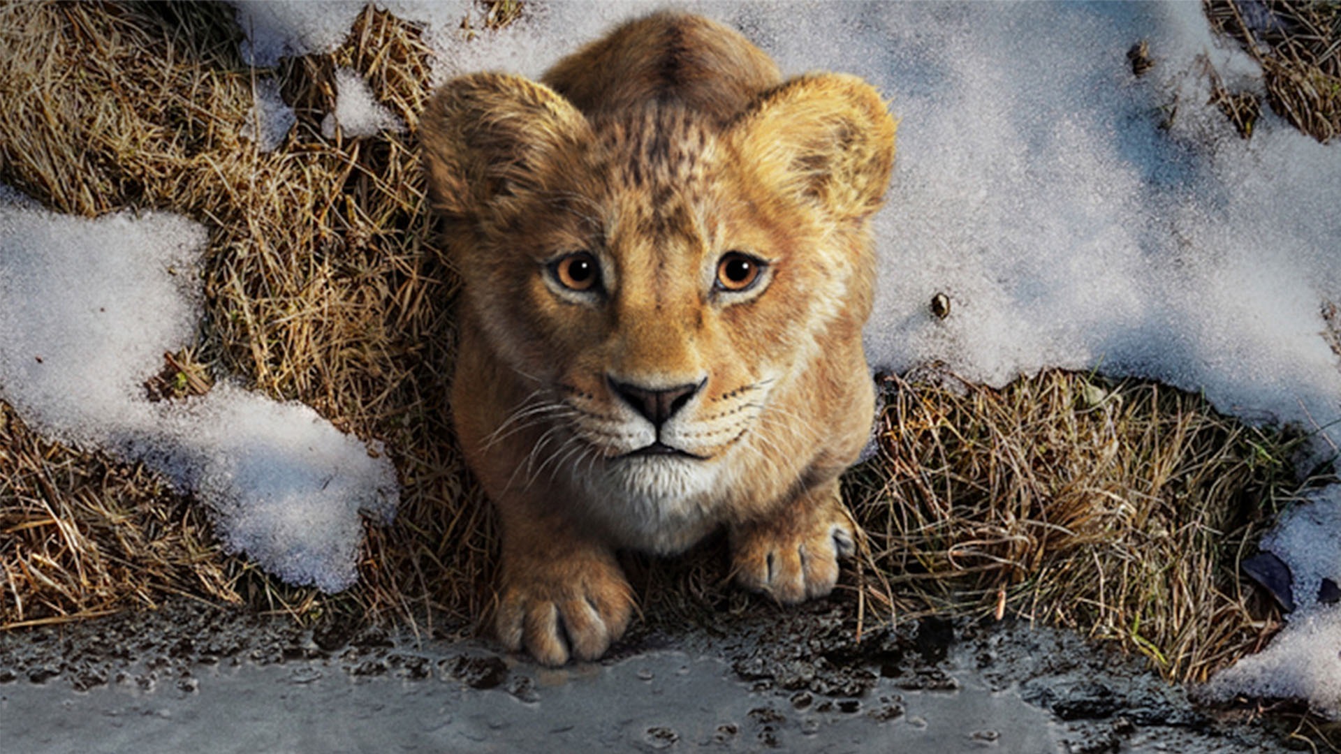 Mufasa: The Lion King Review