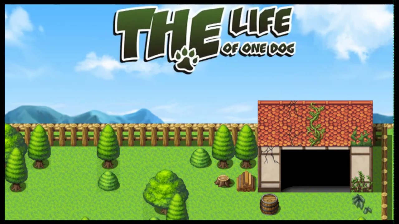 Unusual Experiences: Best Games For Dog Lovers