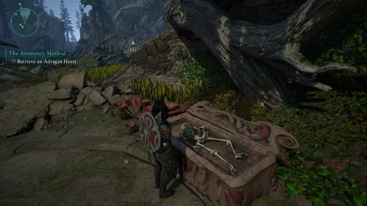 Avowed: Crafting Two Worlds in One With First & Third-Person