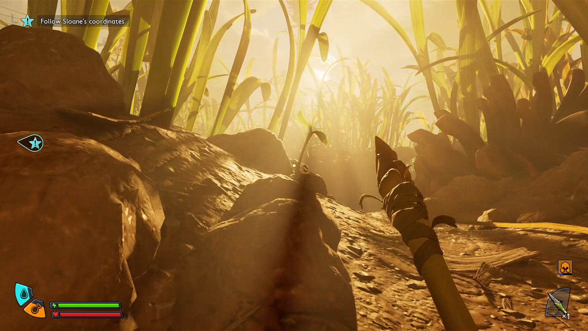 Going Hands-On With Grounded 2—Bigger, Better, Stranger