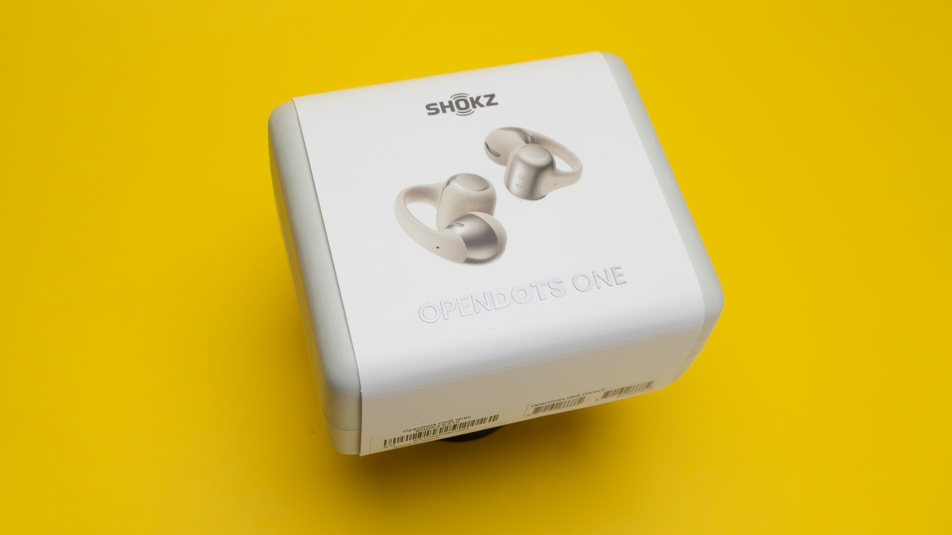 Shokz OpenDots One Review