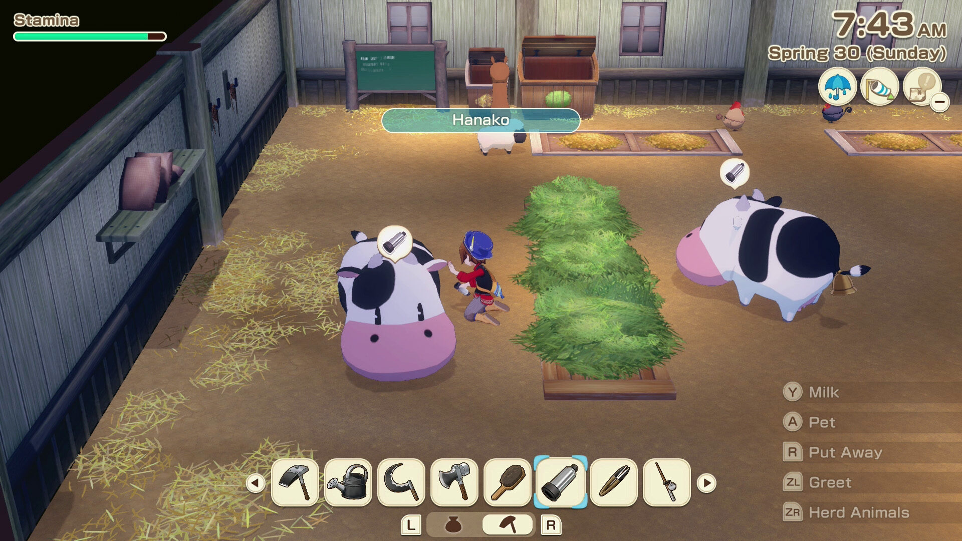 Story of Seasons: Grand Bazaar (Nintendo Switch 2) Review