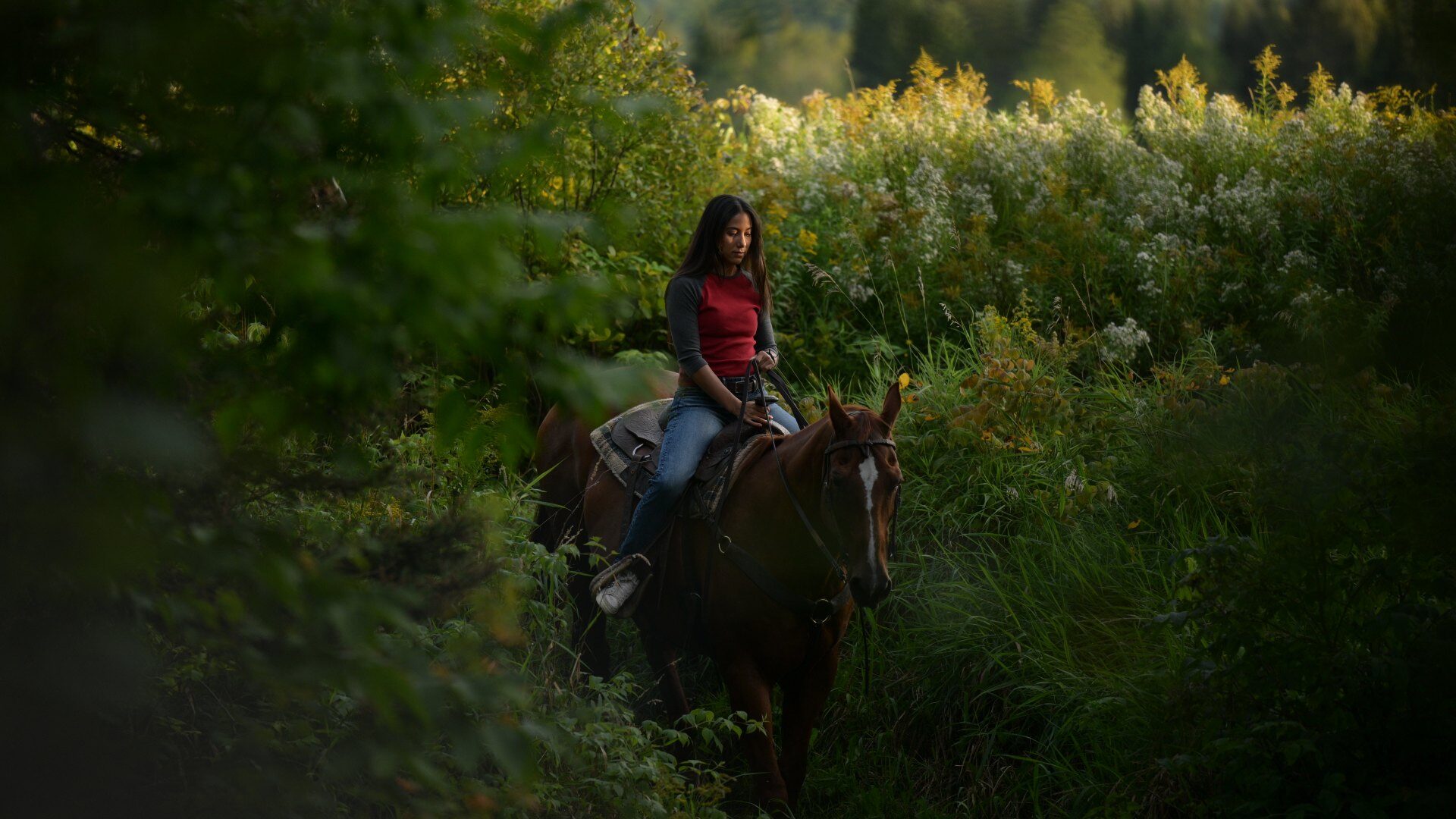 Blood Lines Review — TIFF 2025