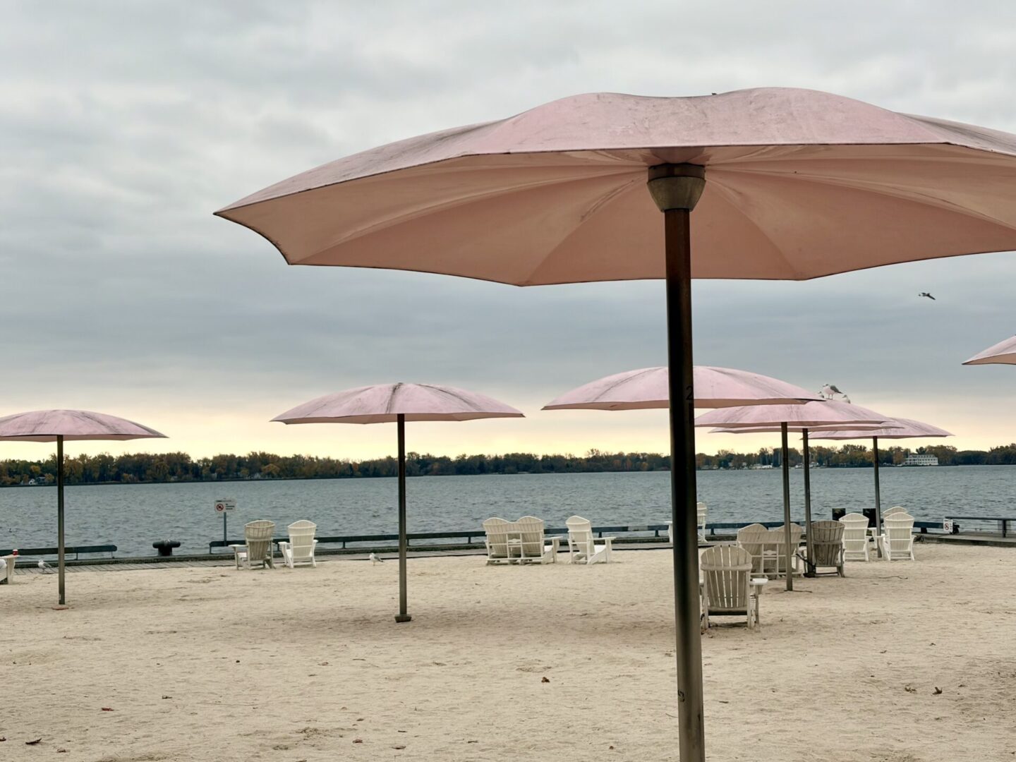 Apple iPhone 17 Smartphone Review