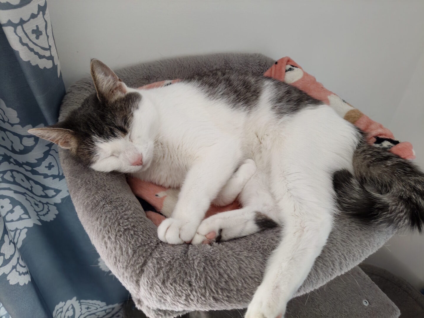 Infinix GT 30 Smartphone Review