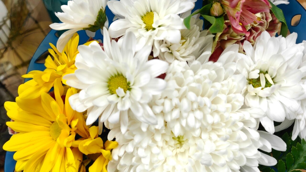 Realme GT 8 Pro Smartphone Review