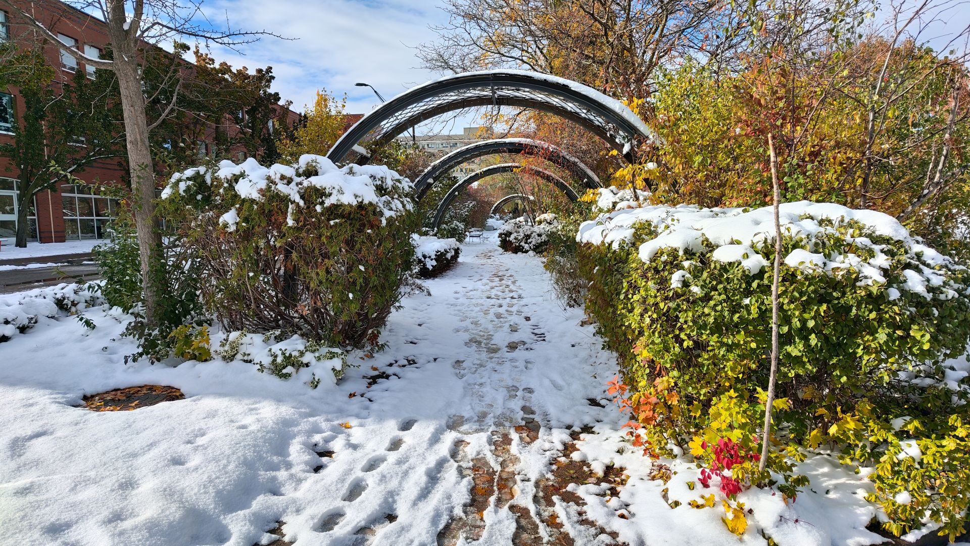 REDMAGIC 11 Pro Gaming Smartphone review