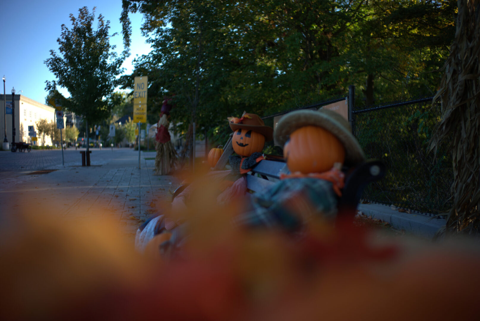 Thypoch Simera-C 35mm T1.5 Lens Review