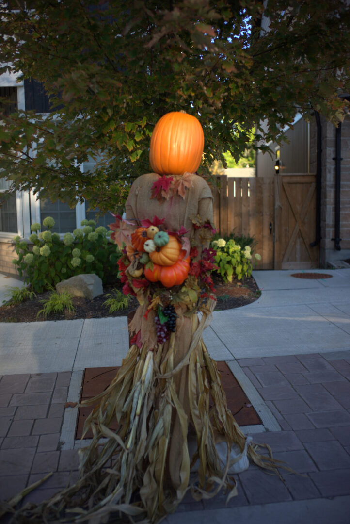 Thypoch Simera-C 35mm T1.5 Lens Review