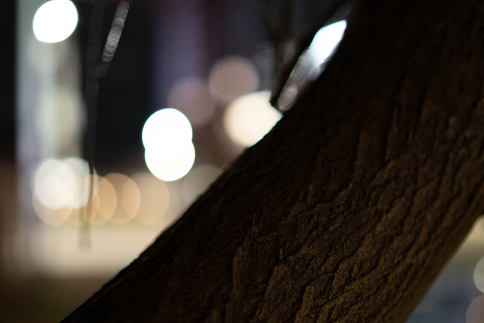 Brightin Star 35Mm F0.95 Aps-C Lens Review