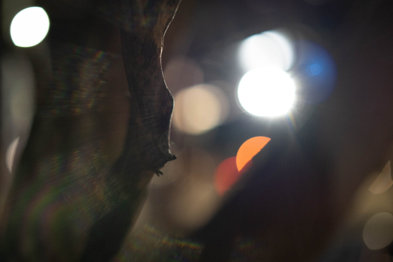 Brightin Star 35Mm F0.95 Aps-C Lens Review