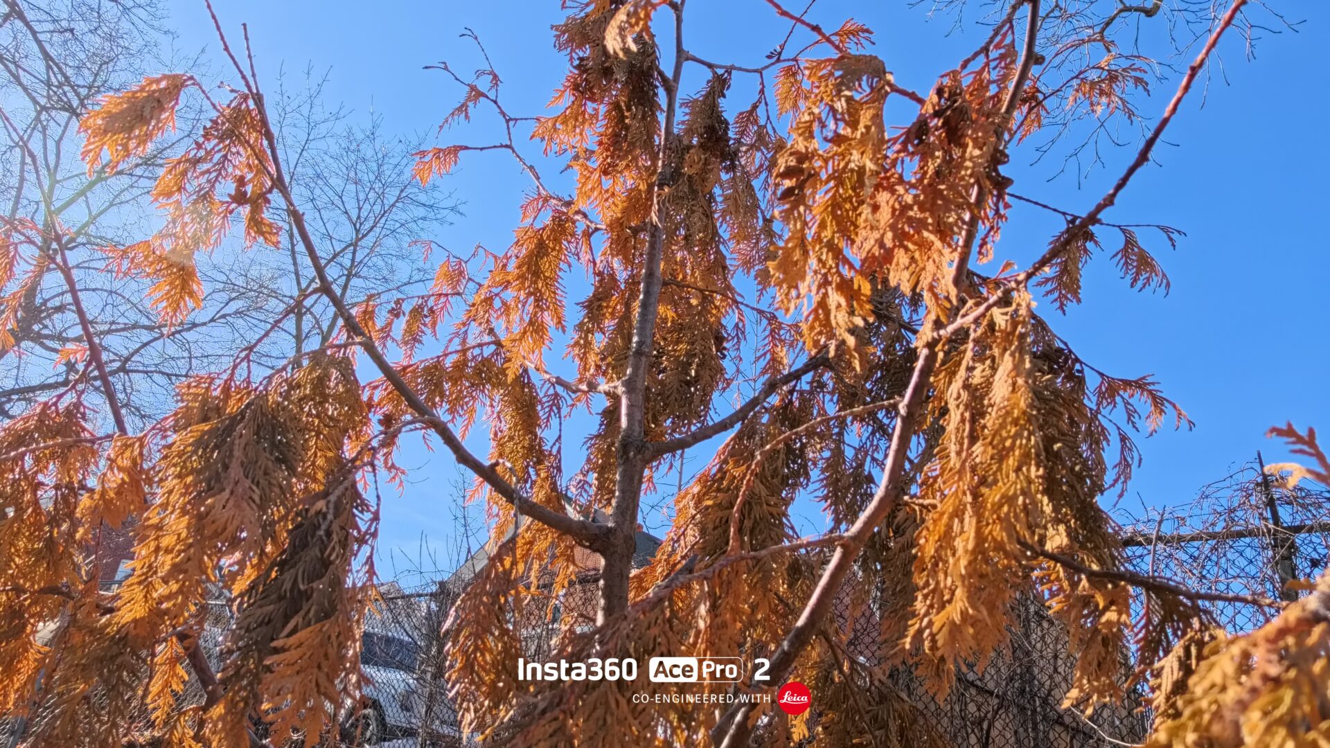 Insta360 Xplorer Grip Kit Review