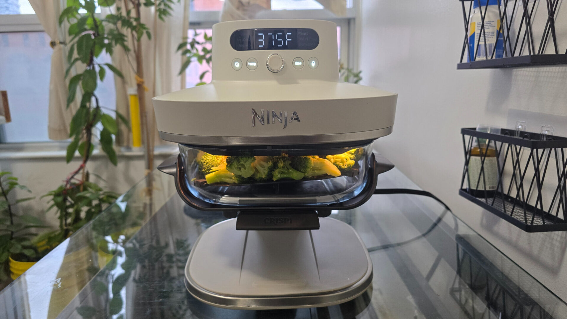 Ninja Crispi Pro 6-In-1 Glass Countertop Air Fryer Review Ninja Crispi Pro Review