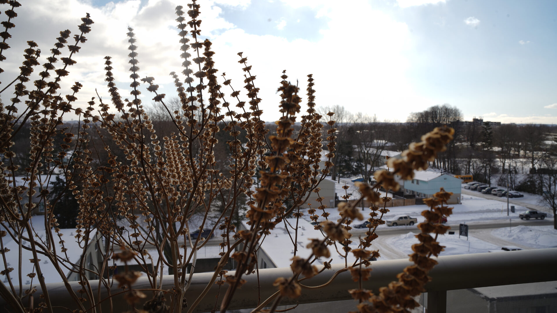 Thypoch Simera-C 28Mm T1.5 Lens Review