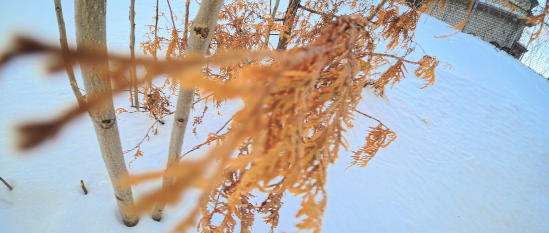 Travelling Light, Shooting Big: Testing Insta360’s New Ace Pro 2 Camera Lenses