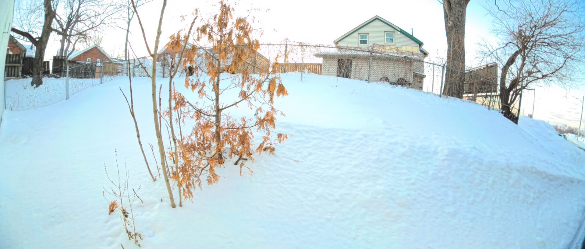 Travelling Light, Shooting Big: Testing Insta360’s New Ace Pro 2 Camera Lenses