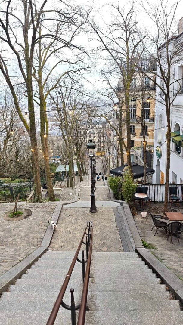 Xiaomi 17 Smartphone Review