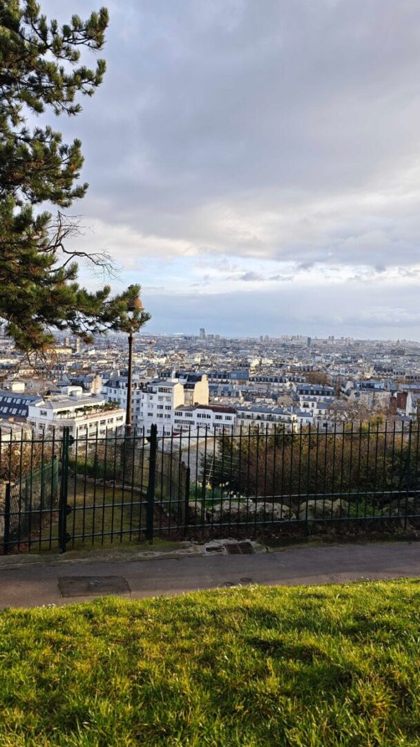 Xiaomi 17 Smartphone Review