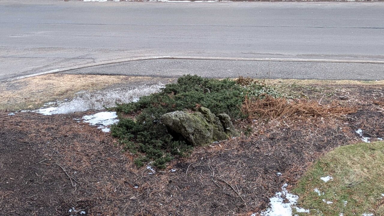 Google Pixel 10A Smartphone Review