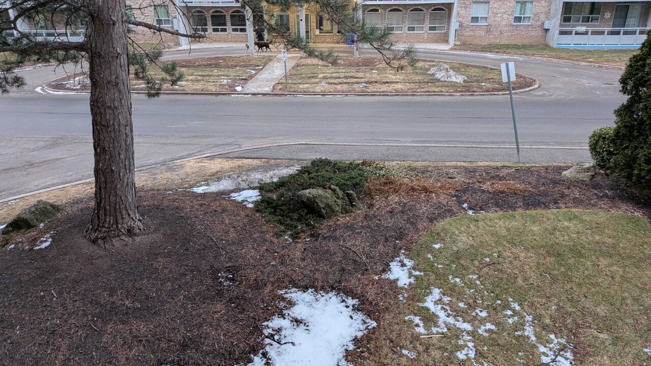 Google Pixel 10A Smartphone Review