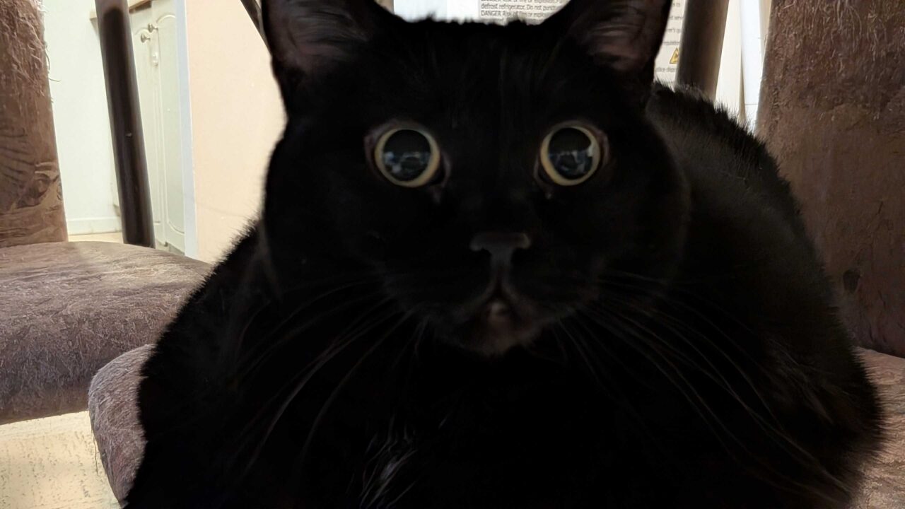 Google Pixel 10A Smartphone Review