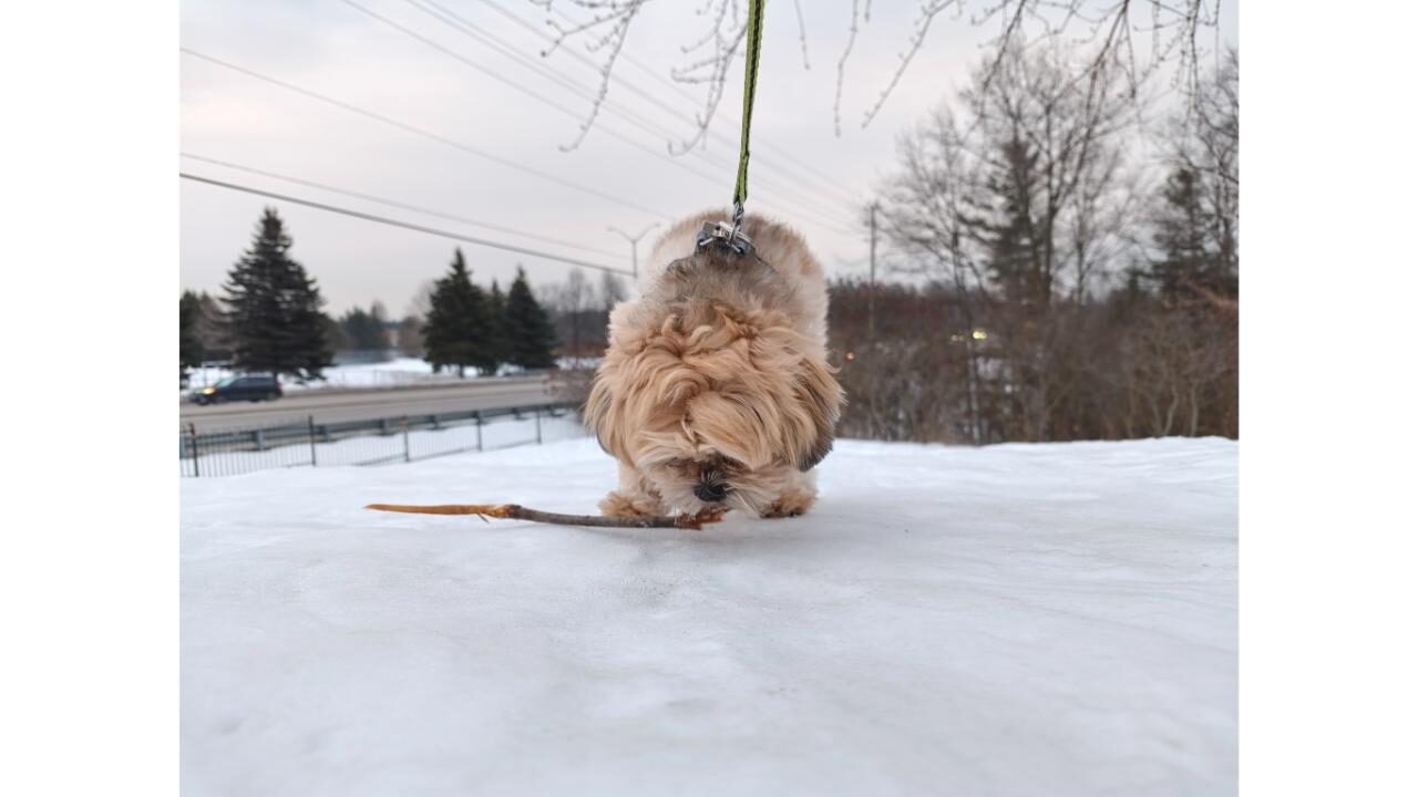 Infinix Note 60 Ultra Smartphone Review