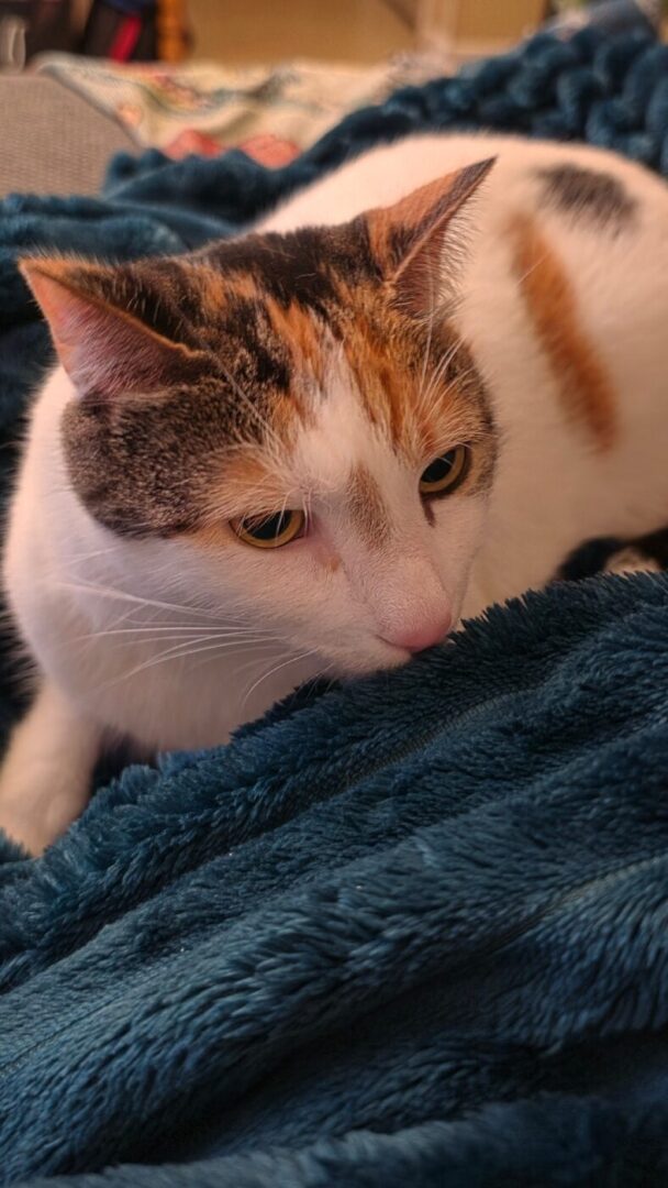 Samsung Galaxy S26 Ultra Smartphone Review