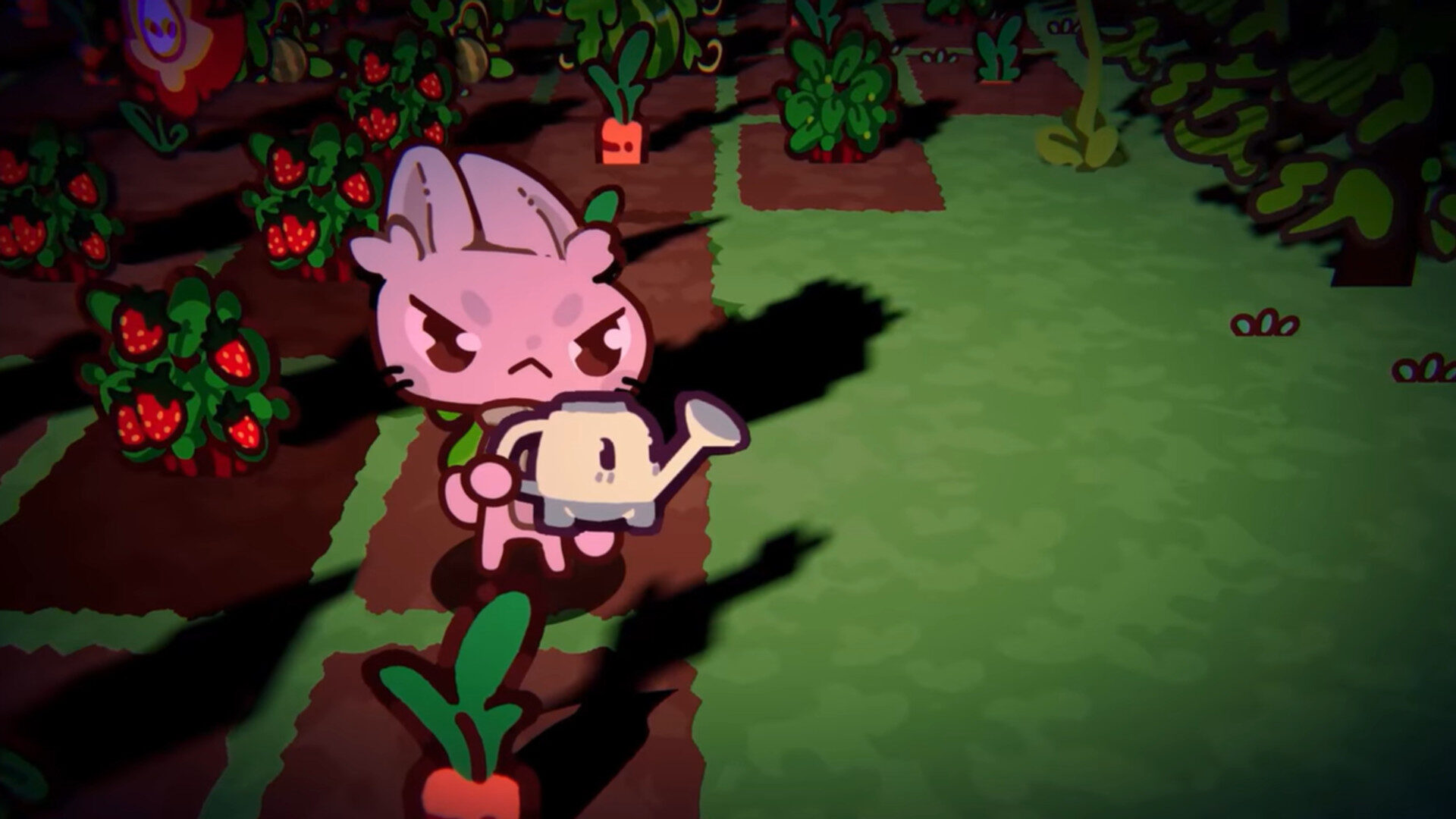 The Rabbit Haul Is A C