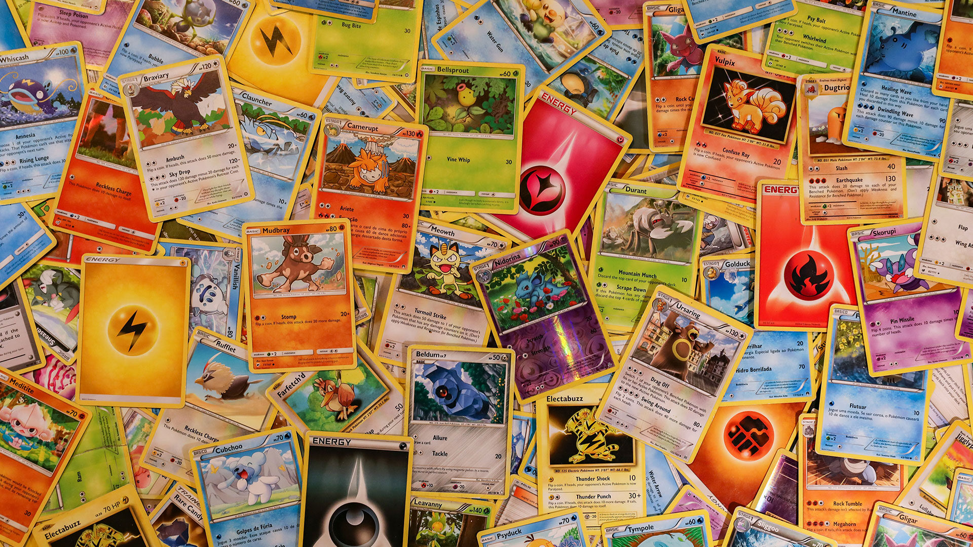 What to Look for in a Pokémon Card Binder: A Complete Buyer's Guide 2026