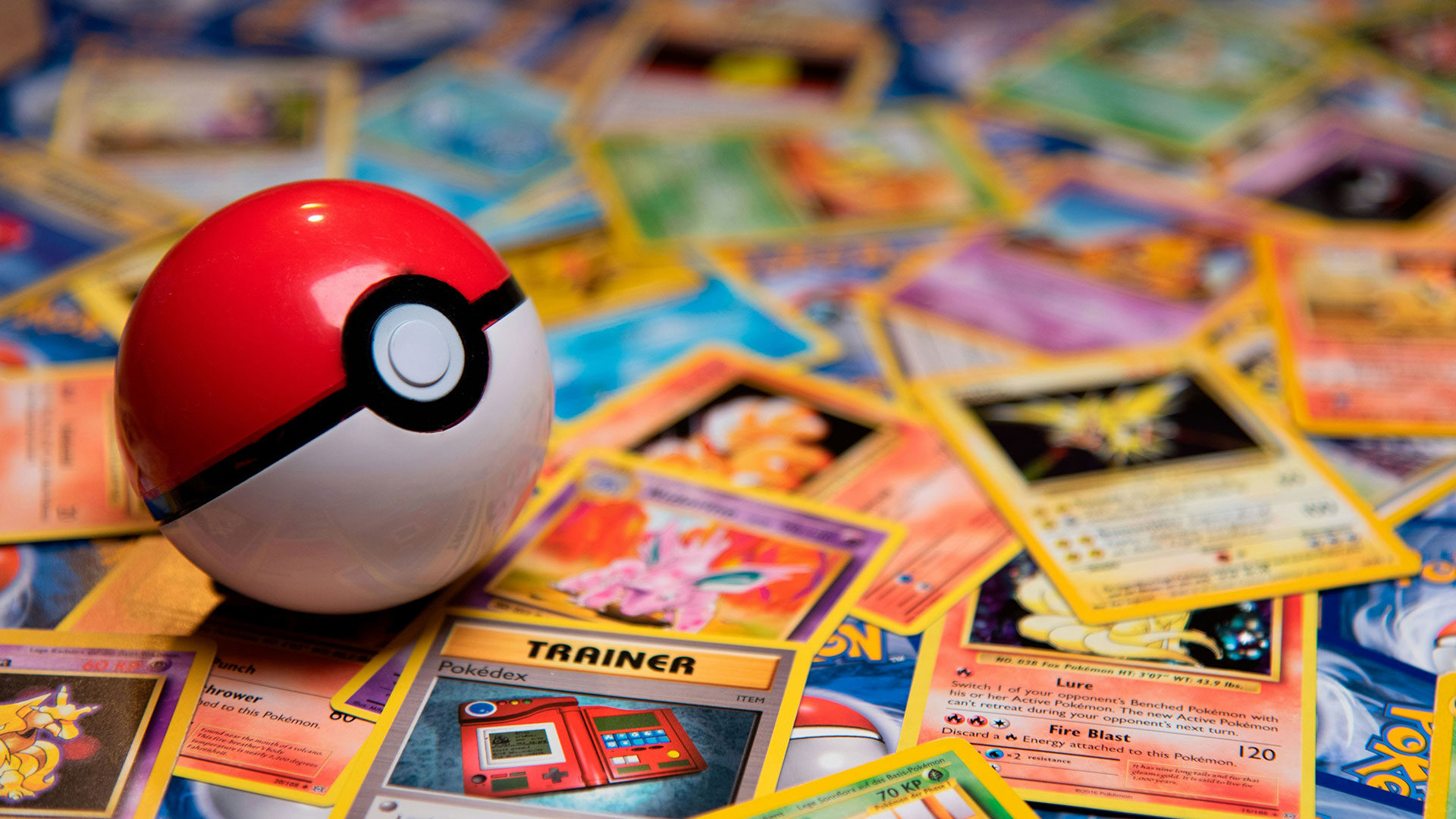 What to Look for in a Pokémon Card Binder: A Complete Buyer's Guide 2026