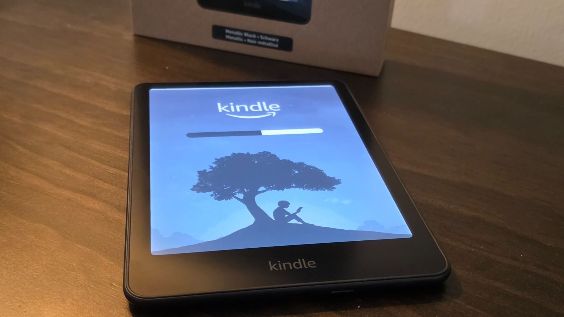 Amazon Kindle Colorsoft Review