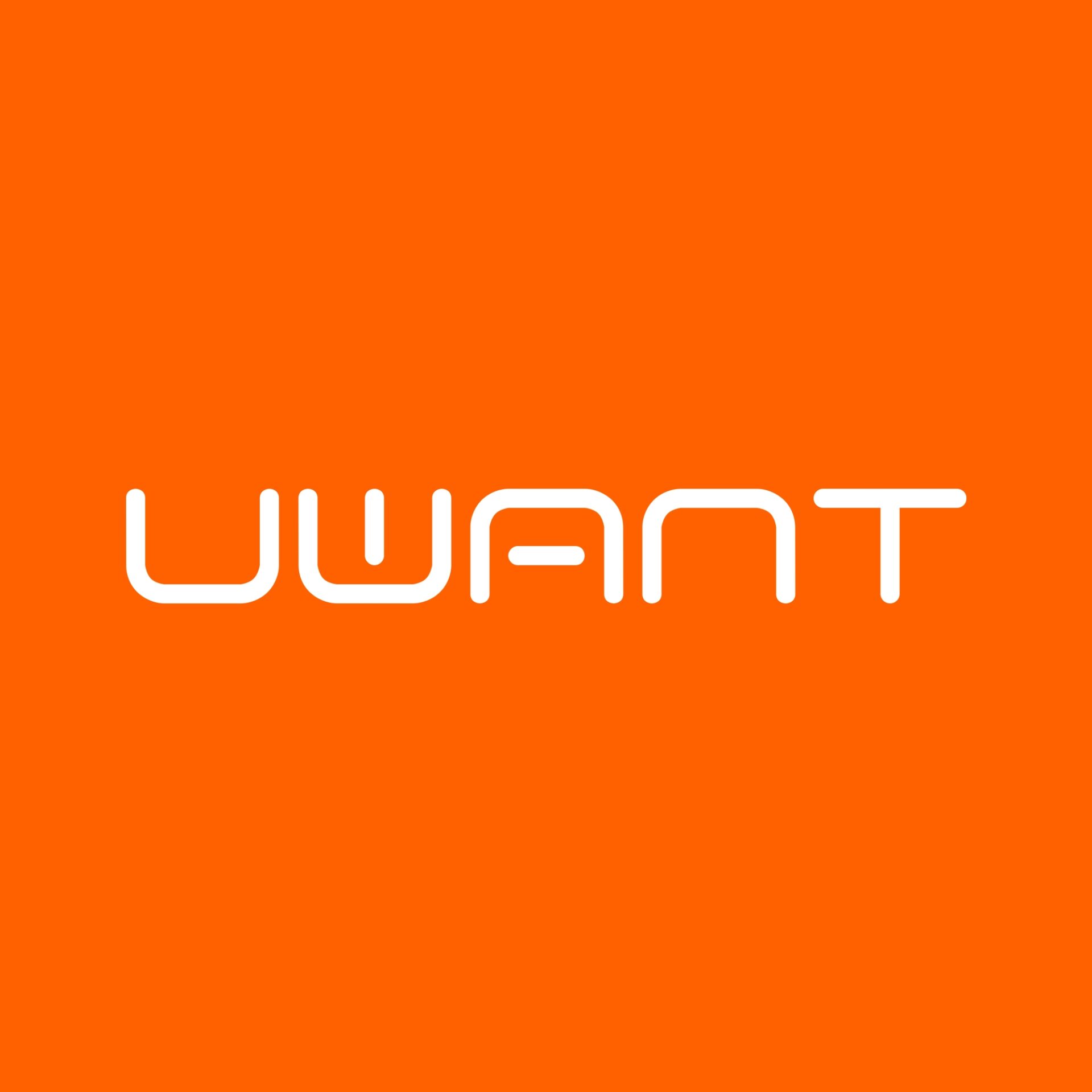 UWANT B400 Multiple Spot Cleaner Review