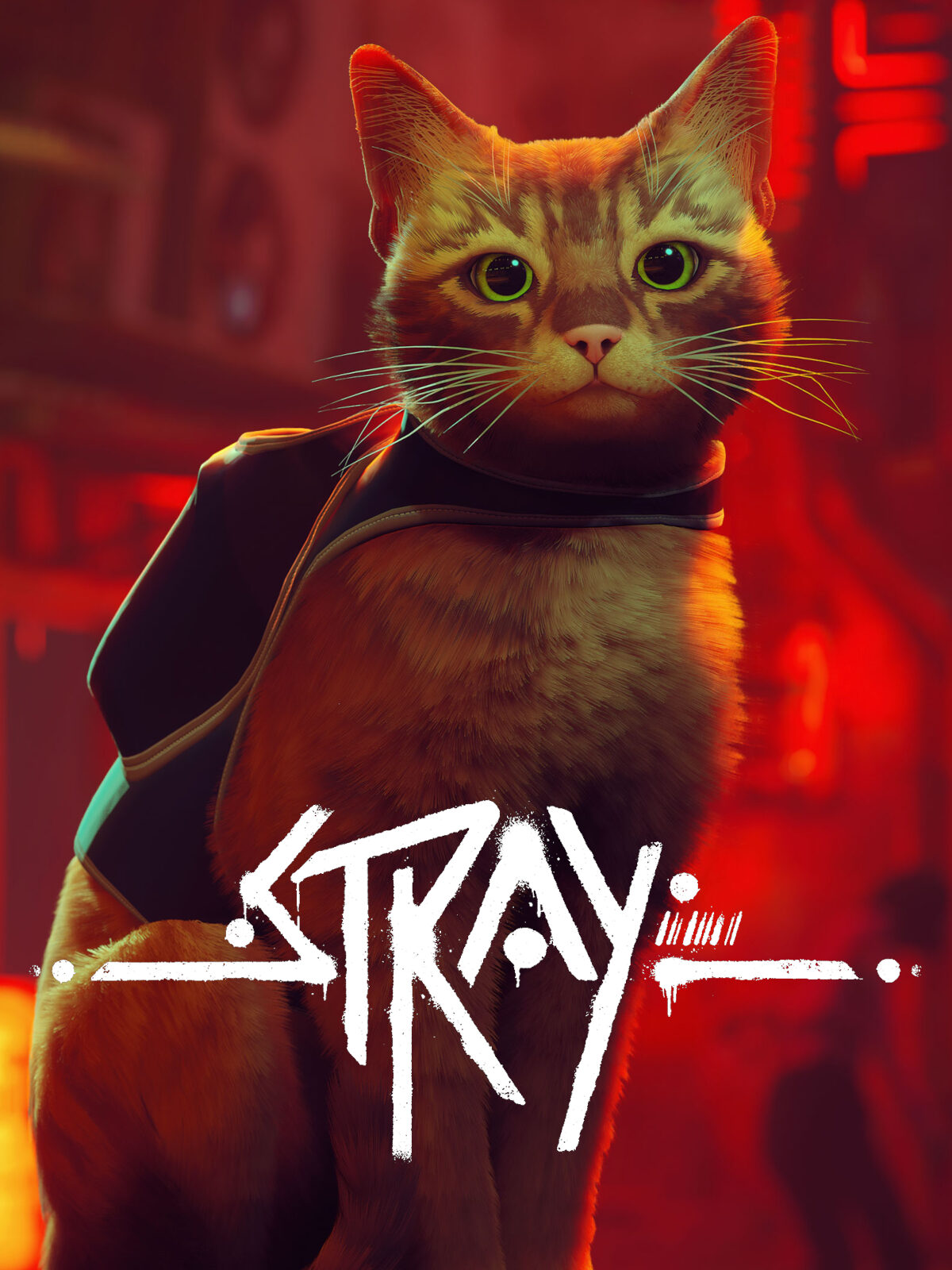 Stray (Nintendo Switch 2) Review