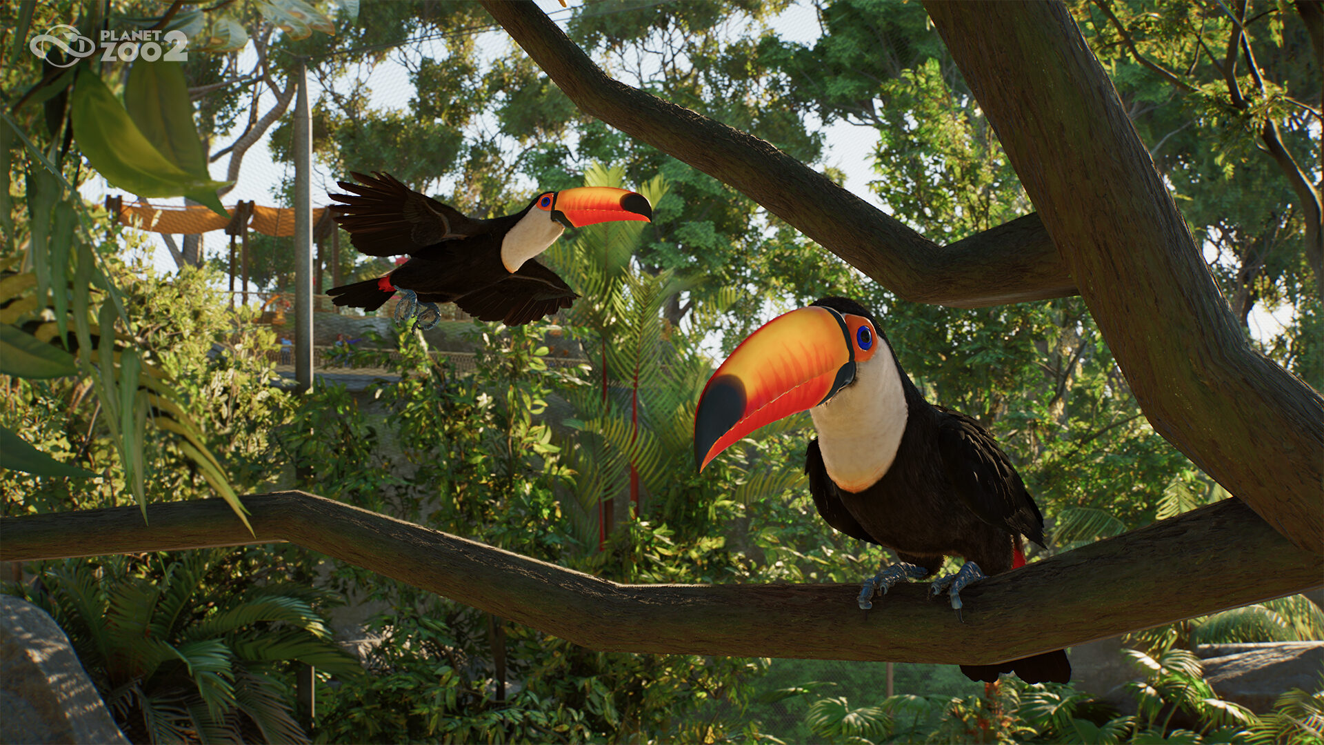 Planet Zoo 2 Announced With New Aquatic Life And Aviaries Planet Zoo 2 Announced With New Aqutic Life And Aviaires