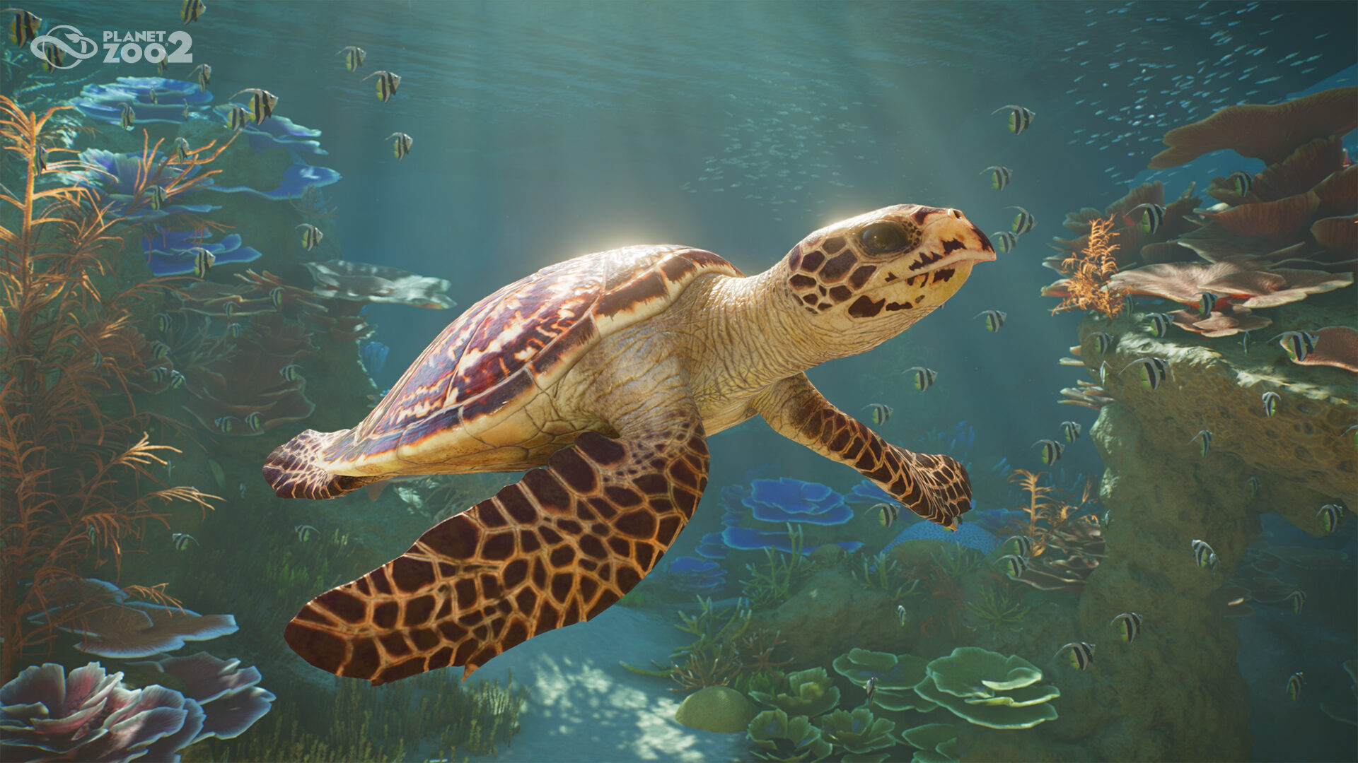 Planet Zoo 2 Announced With New Aquatic Life And Aviaries Planet Zoo 2 Announced With New Aqutic Life And Aviaires