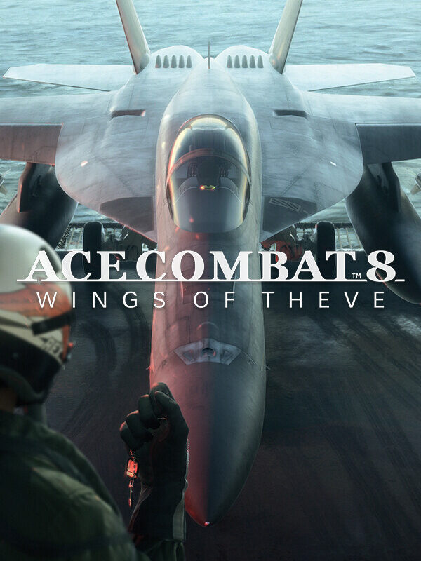 Ace Combat 8: Wings of Theve - cover