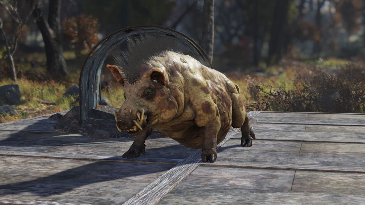 Fallout 76: World Pets Let’s You Bring Dogs, and Hideouts Is Coming!