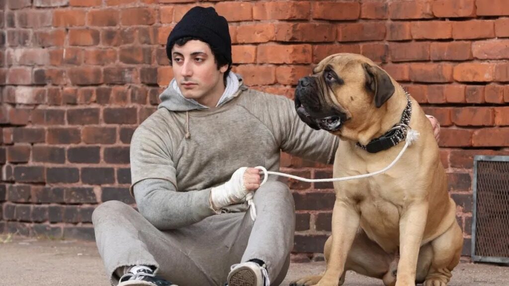 TIFF 2026 — I Play Rocky Review