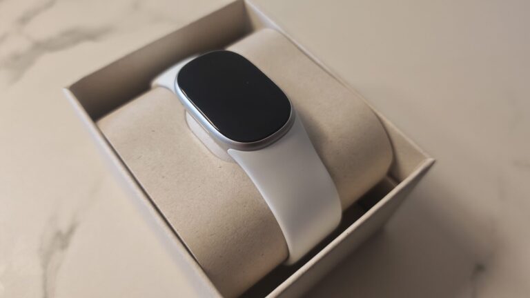 Google Fitbit Edge Review