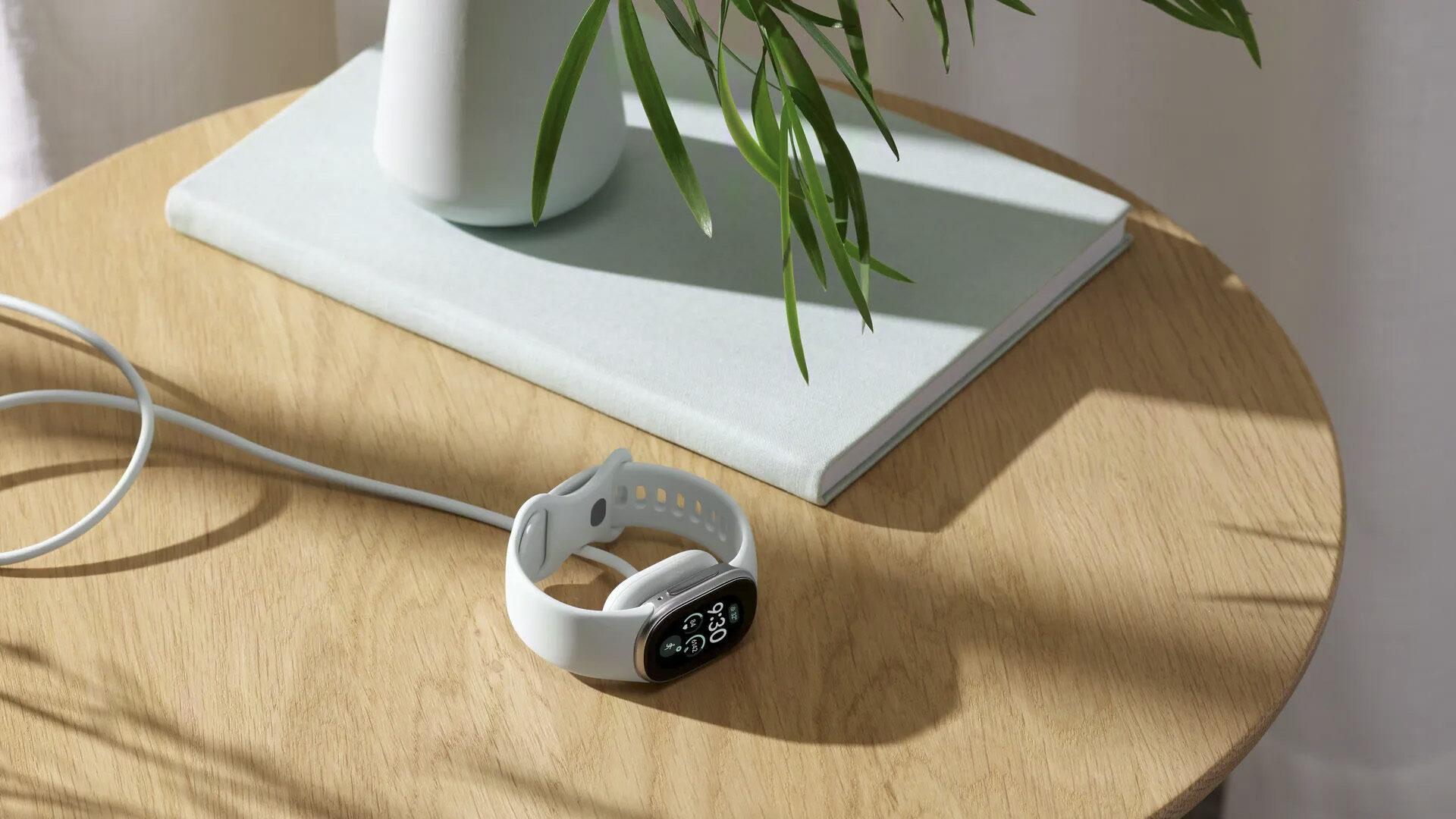 Google Fitbit Edge Review