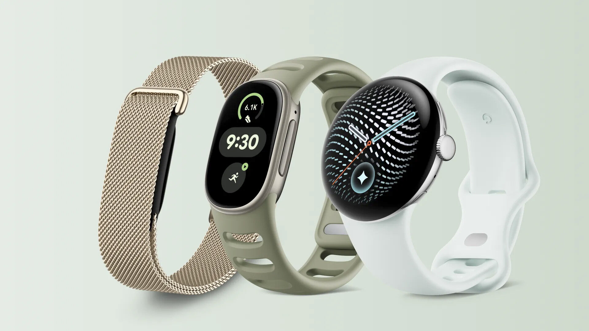 Google Fitbit Edge Review