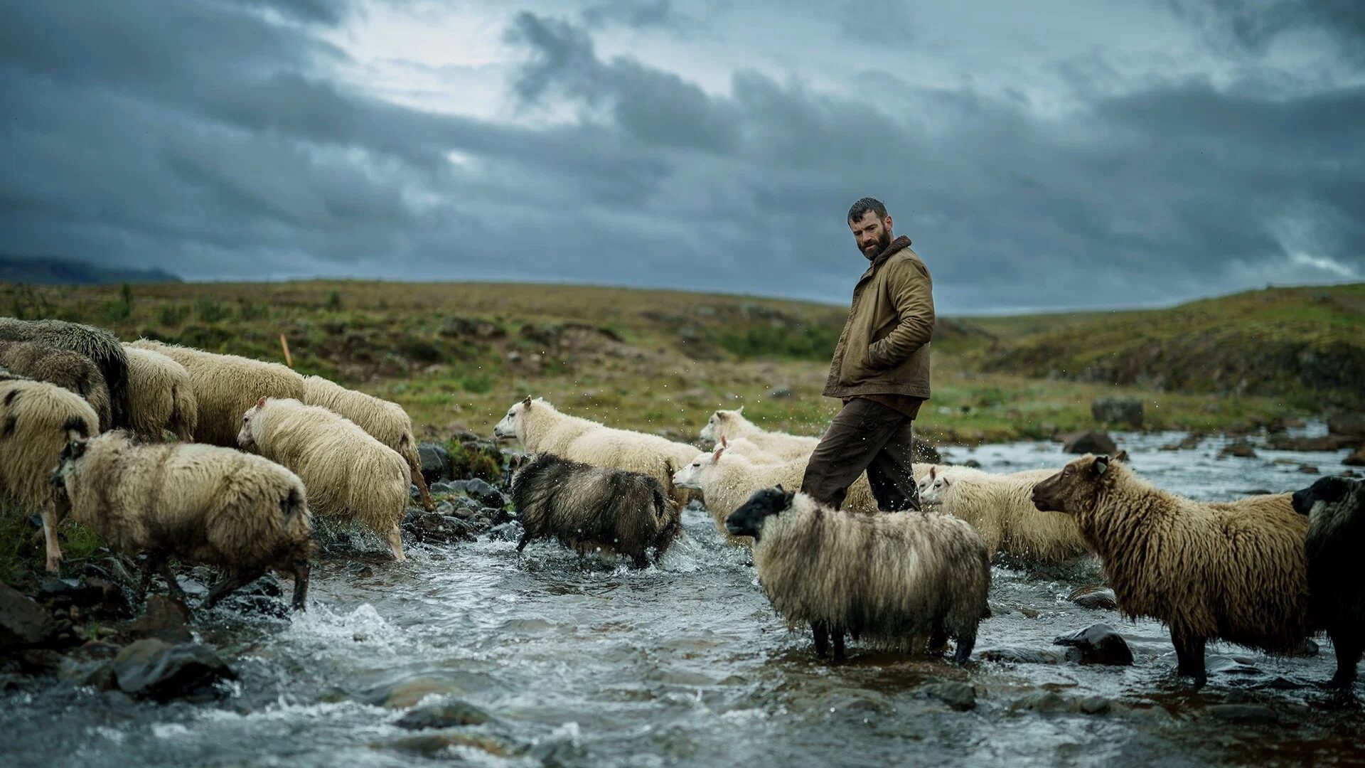 The Last Photograph TIFF 2026 — The Last Photograph Review